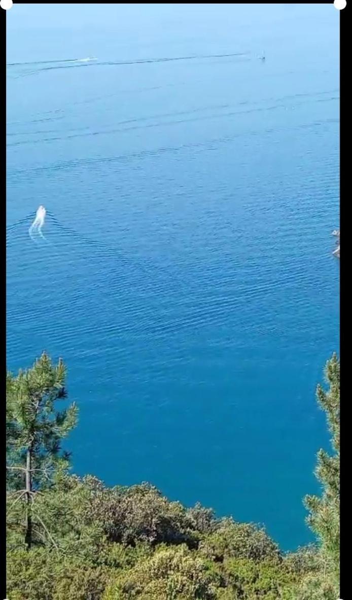 Da Ange E Bru Villa Sestri Levante Bagian luar foto